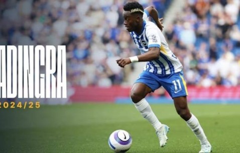 天空记者：桑德兰将签下布莱顿23岁边锋阿迪格拉，总费用2050万镑